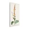 Stupell Industries Scientific Botanical Plant Wall Plaque Art